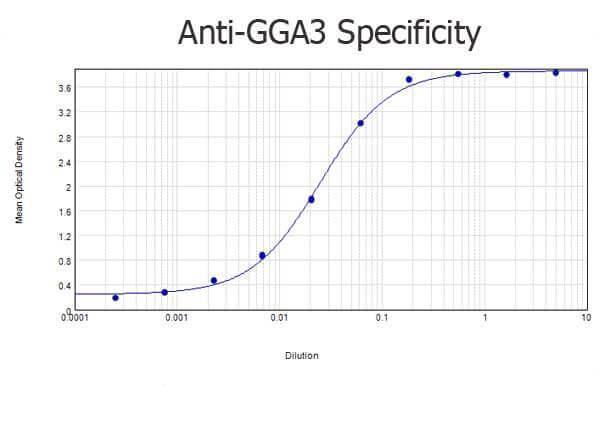 a03641 gga3 primary antibodies elisa testing 2