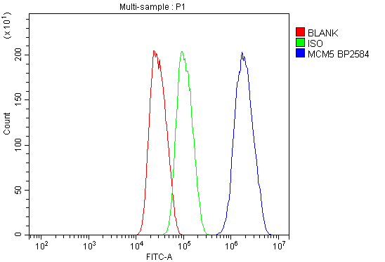 a03642 mcm5 primary antibodies fcm testing 7