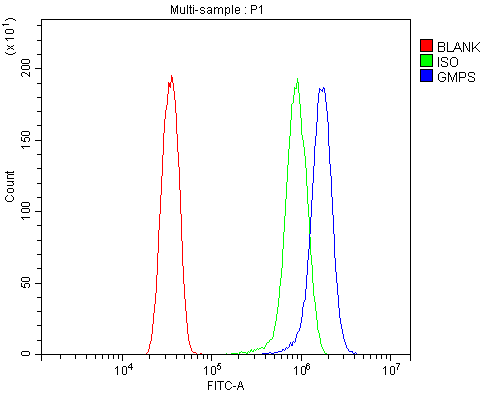 a03643 1 gmps primary antibodies fcm testing 2