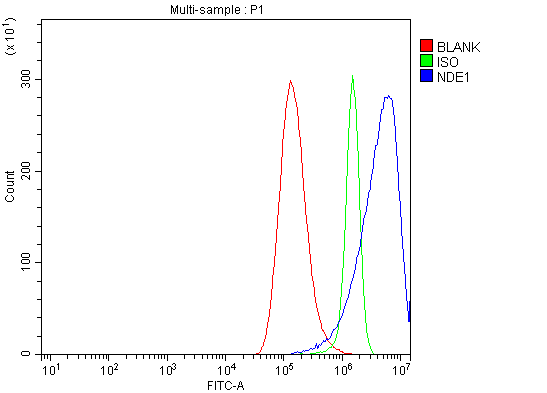 a03656 2 nde1 primary antibodies fcm testing 4