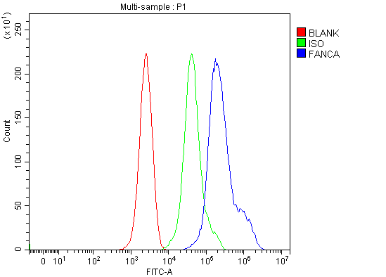  Flow Cytometry analysis of ANA-1 cells using anti-Fanca/FAA antibody (A03662-2)