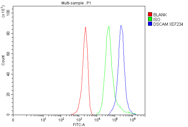 Flow Cytometry analysis of MCF-7 cells using anti-DSCAM antibody (A03665-2)