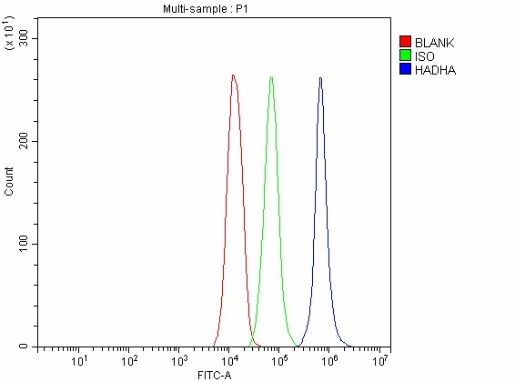 a03666 2 hadha primary antibodies fcm testing 18