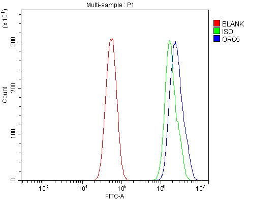 a03676 1 orc5 primary antibodies fcm testing 3
