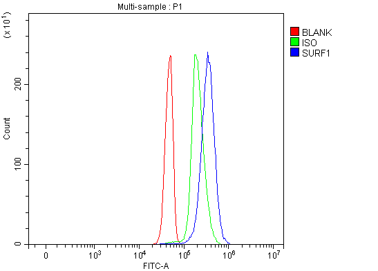  Flow Cytometry analysis of Jurkat cells using anti-SURF1 antibody (A03678-2)