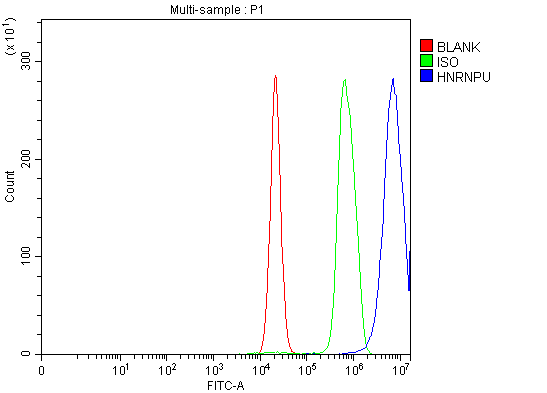 a03691 3 hnrnpu primary antibodies fcm testing 13_1