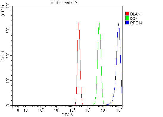  Flow Cytometry analysis of HepG2 cells using anti-RPS14 antibody (A03696-1)