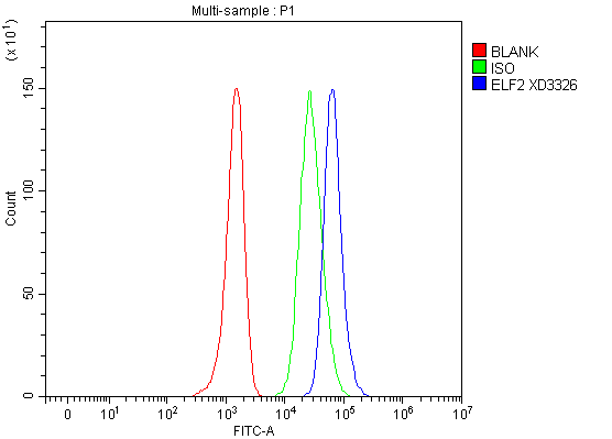 Flow Cytometry analysis of A2780 cells using anti-ELF2 antibody (A03706-1)