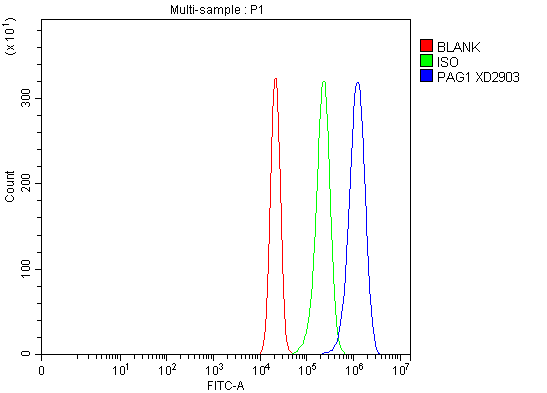 Flow Cytometry analysis of RT4 cells using anti-PAG1 antibody (A03711-2)