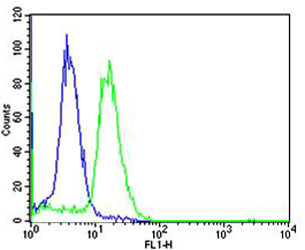 a03713 1 anti tcl1a antibody center fc testing 2