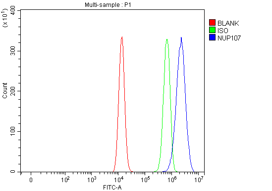  Flow Cytometry analysis of HEL cells using anti-NUP107 antibody (A03724-1)