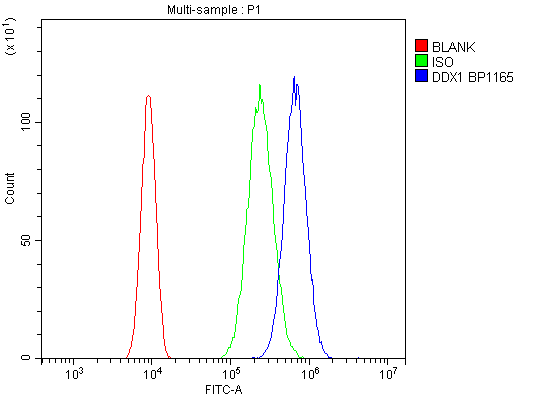 a03727 1 ddx1 primary antibodies fc testing 7