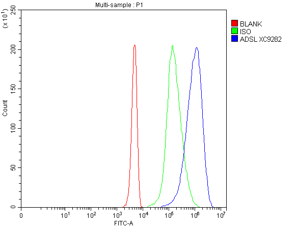 Flow Cytometry analysis of 293T cells using anti-ADSL antibody (A03732-1)