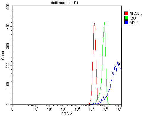 a03733 1 arl1 primary antibodies fcm testing 5