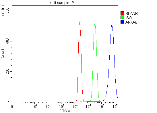 a03735 anxa6 primary antibodies fcm testing 6