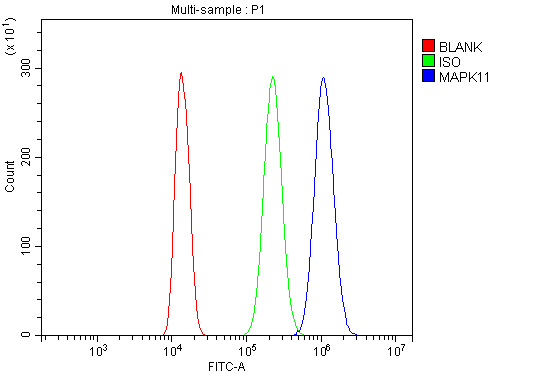 a03738 1 mapk11 primary antibodies fcm testing 4