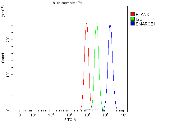 a03739 2 smarce1 primary antibodies fcm testing 5
