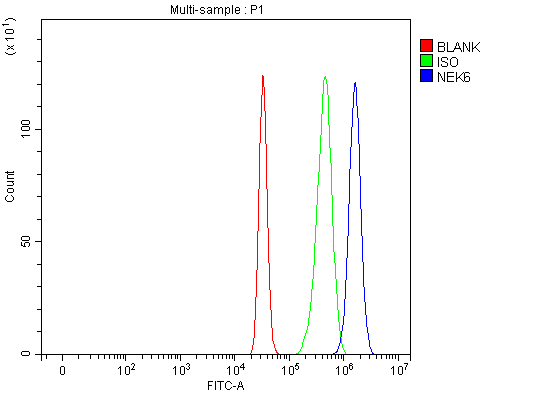  Flow Cytometry analysis of HepG2 cells using anti-NEK6 antibody (A03740-1)