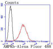 a03741 1 prkab1 primary antiboties fcm testing 2