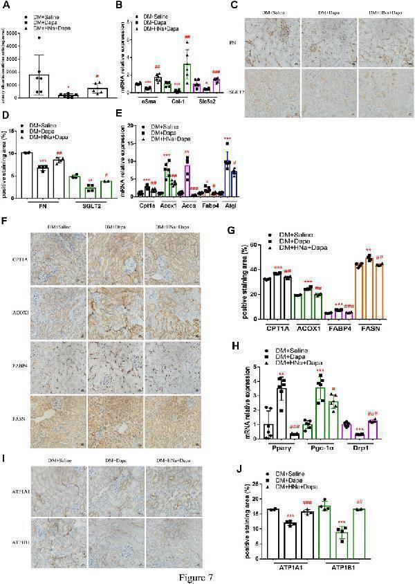 a03748 1 fphar 12 741087 g007