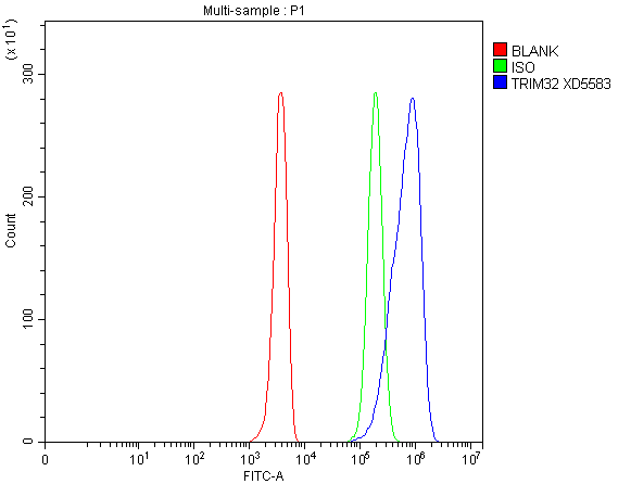 a03750 1 trim32 primary antibodies fcm testing 1