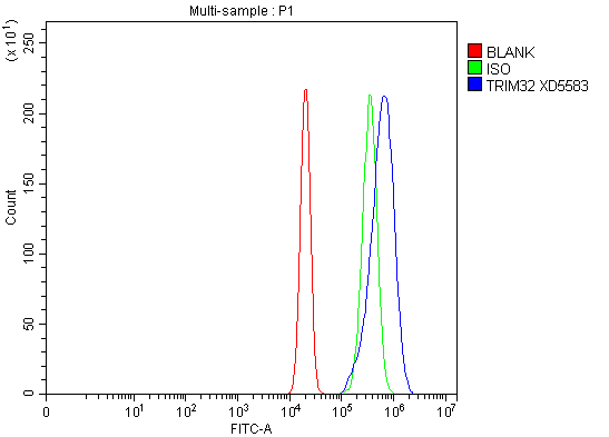 a03750 1 trim32 primary antibodies fcm testing 2