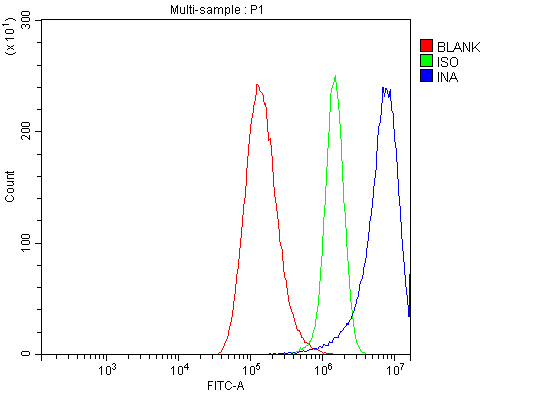 a03756 1 ina primary antibodies fcm testing 7