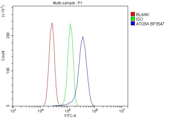  Flow Cytometry analysis of U87 cells using anti-ATG9A antibody (A03757-2)