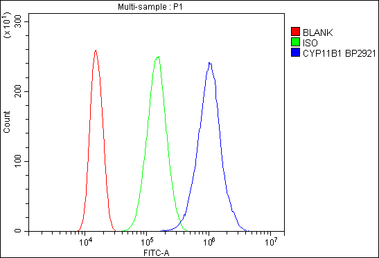 a03766 3 cyp11b1 primary antibodies fcm testing 2