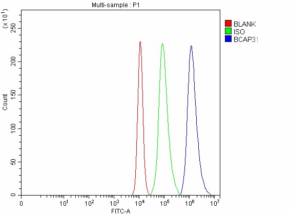 Figure 9. Flow Cytometry analysis of A431 cells using anti-BAP31/BCAP31 antibody (A03767-4). Overlay histogram showing A431 cells stained with A03767-4 (Blue line). To facilitate intracellular staining, cells were fixed with 4% paraformaldehyde and permeabilized with permeabilization buffer. The cells were blocked with 10% normal goat serum. And then incubated with rabbit anti-BAP31/BCAP31 Antibody (A03767-4, 1 microg/1x106 cells) for 30 min at 20°C. DyLight®488 conjugated goat anti-rabbit IgG (BA1127, 5-10 microg/1x106 cells) was used as secondary antibody for 30 minutes at 20°C. Isotype control antibody (Green line) was rabbit IgG (1 microg/1x106) used under the same conditions. Unlabelled sample without incubation with primary antibody and secondary antibody (Red line) was used as a blank control. Figure 9. Flow Cytometry analysis of A431 cells using anti-BAP31/BCAP31 antibody (A03767-4). Overlay histogram showing A431 cells stained with A03767-4 (Blue line). To facilitate intracellular staining, cells were fixed with 4% paraformaldehyde and permeabilized with permeabilization buffer. The cells were blocked with 10% normal goat serum. And then incubated with rabbit anti-BAP31/BCAP31 Antibody (A03767-4, 1 microg/1x106 cells) for 30 min at 20°C. DyLight®488 conjugated goat anti-rabbit IgG (BA1127, 5-10 microg/1x106 cells) was used as secondary antibody for 30 minutes at 20°C. Isotype control antibody (Green line) was rabbit IgG (1 microg/1x106) used under the same conditions. Unlabelled sample without incubation with primary antibody and secondary antibody (Red line) was used as a blank control.