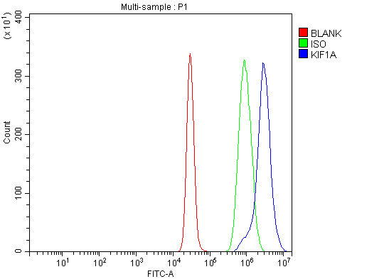  Flow Cytometry analysis of K562 cells using anti-KIF1A antibody (A03779-1)