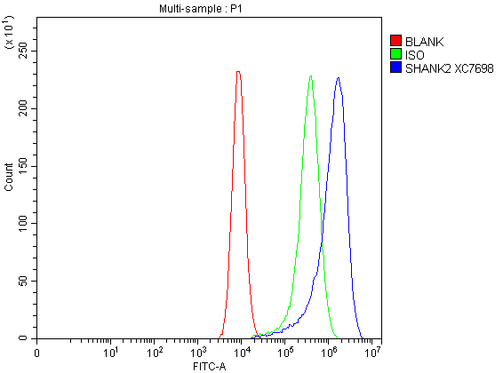 Flow Cytometry analysis of Caco-2 cells using anti-SHANK2 antibody (A03782-2)