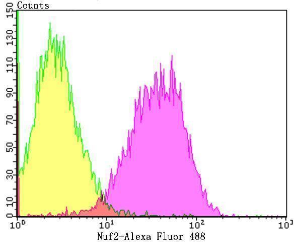 a03788 nuf2 primary antiboties fcm testing 2