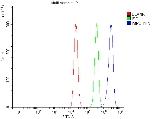a03791 1 impdh1 primary antibodies fcm testing 8