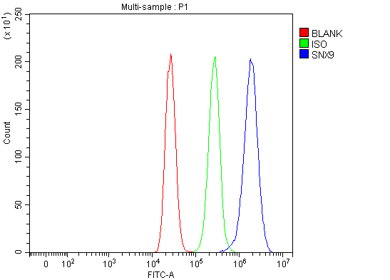 a03796 2 snx9 primary antibodies fcm testing 2