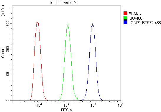 a03808 2 lonp1 primary antibodies fcm testing 7