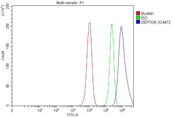 a03811 2 depdc6 deptor primary antibodies fcm testing 4