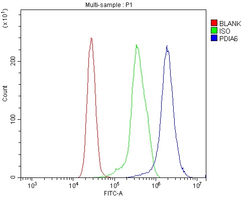 a03813 2 pdia6 primary antibodies fcm testing 8