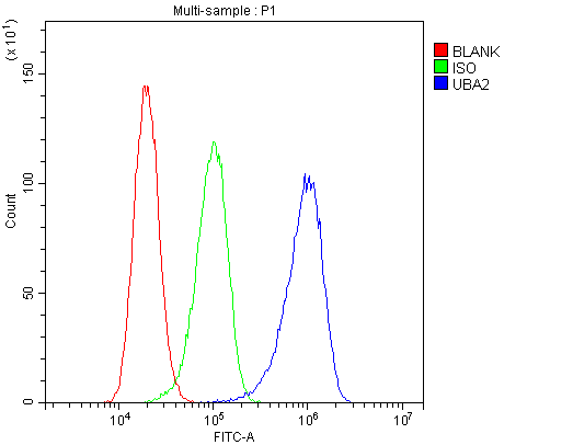 a03816 2 uba2 primary antibodies fc testing 7