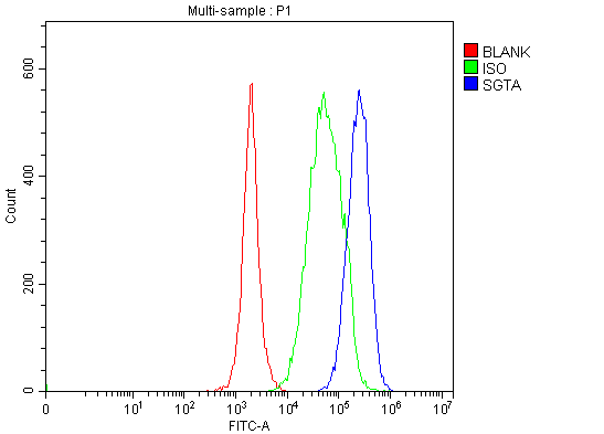  Flow Cytometry analysis of Jurkat cells using anti-SGTA antibody (A03818-1)