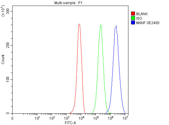 Flow Cytometry analysis of HepG2 cells using anti-MANF antibody (A03825-2)