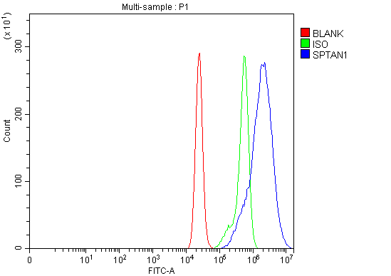 a03831 3 sptan1 primary antibodies fcm testing 8