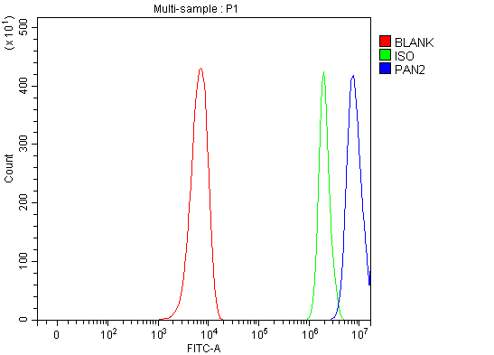  Flow Cytometry analysis of PC-3 cells using anti-PAN2 antibody (A03834-1)