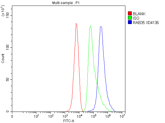 Flow Cytometry analysis of C6 cells using anti-RAB35 antibody (A03845-2)