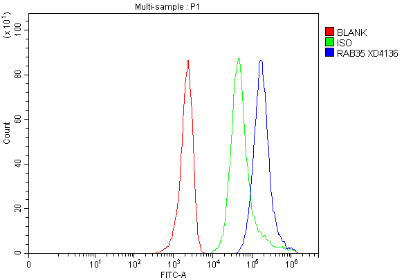 a03845 2 rab35 primary antibodies fcm testing 2