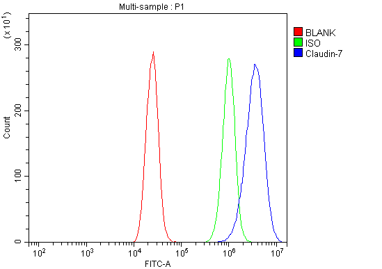 a03851 3 cldn 7 primary antibodies fcm testing 7