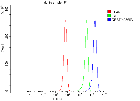 a03852 3 rest primary antibodies fcm testing 1