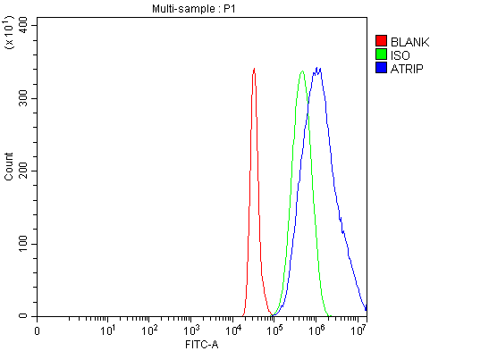  Flow Cytometry analysis of HepG2 cells using anti-ATRIP antibody (A03862-2)