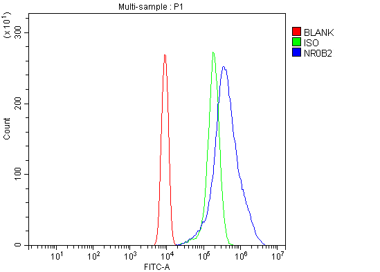  Flow Cytometry analysis of ANA-1 cells using anti-Nr0b2 antibody (A03866-1)