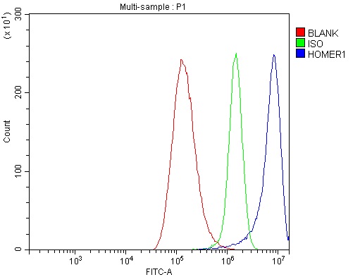 a03877 1 homer1 primary antibodies fcm testing 2